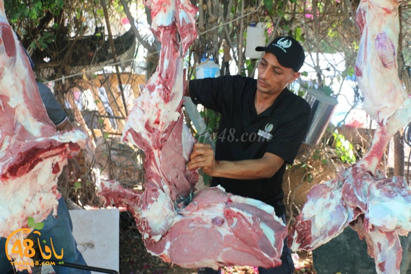 lod8om ada73y (86).JPG